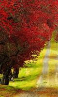 arbres à feuillage rouge lwp Affiche