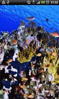 3 Schermata vicolo Jackfish lwp