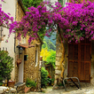European Village LWP