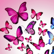 papier peint papillon rose
