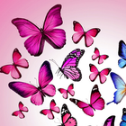 розовая бабочка обои иконка