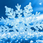falling snowflake wallpaper icon
