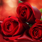 Roses Rouges Lwp icône