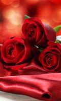 Roses Rouges Lwp Affiche