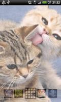 baby cat wallpaper স্ক্রিনশট 3