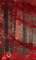 Hutan Alam lwp poster