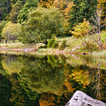 Fond D'écran Automne