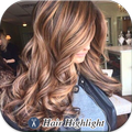 Hair Highlight