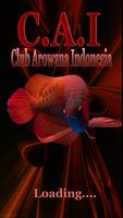 Club Arowana Indonesia - C.A.I capture d'écran 1