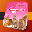 Pecinta Kucing Indonesia APK