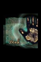 TEAK 海報