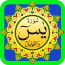 Surat Yasin dan Tahlil Lengkap APK