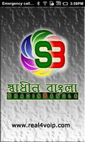 Poster ShadinBangla