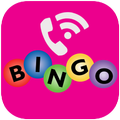 BingoVoice