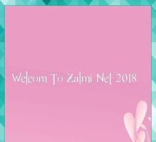 ZALMI NET 2018 NEW ポスター