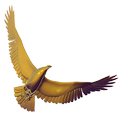 Fly Gold