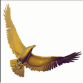 Fly gold
