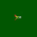 FNF Lite APK