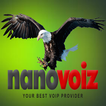 NanoVoiz HD