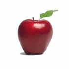 Red Apple أيقونة