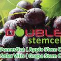 Phyto Science