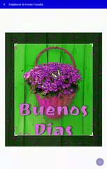 Felicidades アプリダウンロード