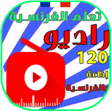 راديو فرنسي icono