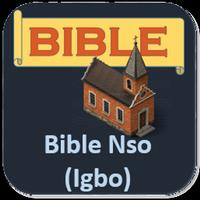 IGBOB BIBLE, Bible Nso 포스터