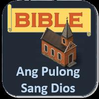 Hiligaynon Bible Plakat