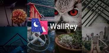 WallRey - Eleganti sfondi HD