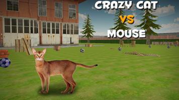 Crazy Cat vs Mouse Affiche