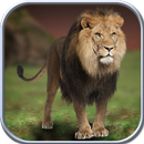 Wild Lion Simulator 2016 APK