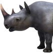 VR Rhino