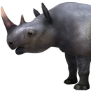 APK VR Rhino