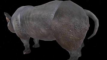 Rhino 3D 海报