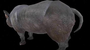 Rhino 3D Cartaz