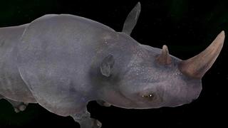 VR Rhino screenshot 1