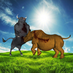 Rhino Buffalo Safari Fight