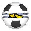 Football Goal Game 2016