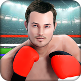 Punch Boxing Fighting Crush 3D biểu tượng