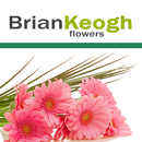 Brian Keogh Flowers APK