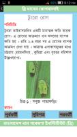 BRRI Rice Diseases Bangladesh capture d'écran 1