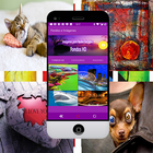 Download images-icoon