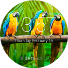 Birds Lock Screen-icoon