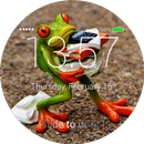 Frog Lock Screen APK