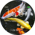 Koi Lock Screen