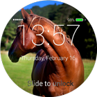 Horses Lock Screen icon
