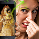 Phone stinky smell Joke APK