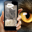 Vision pets simülatörü