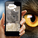 Vision pets simulator APK